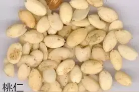 活血化瘀话桃仁图片