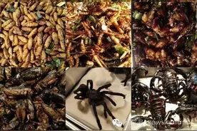 泰国重口味暗黑美食 有几款真的看看就好图片