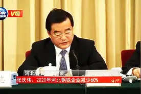 [V观]河北省长张庆伟：2020年河北钢铁企业减少60%视频封面