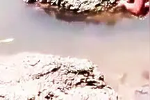 利用鱼饵吸引泥蟹离开洞穴，然后活捉，个头可真不小图片