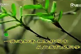一曲《同学情》，唱的太真实！图片