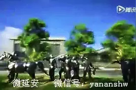 延安新城 美美哒图片