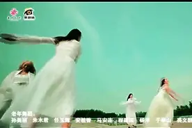龙梅子 杨海彪 -寂寞的人伤心的歌 DJ版图片