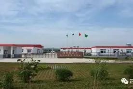 正大集团：用道德与科技定义安全 打造蛋品源头健康！图片