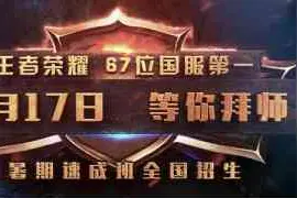 国服最强玩家变身老师 YY开启王者荣耀教学业务图片