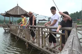 干净的永嘉楠溪江水养出小龙虾图片