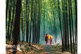 60天景区、高速5折优惠！“火炉“城市的小伙伴，快来贵州体验清凉一“夏”图片