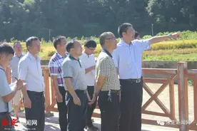 永定政事｜永定区领导调研河长制工作图片