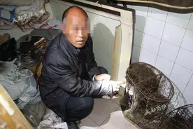 河南猴戏之乡耍猴艺人在川买11只野生猕猴被抓 当地协会求情图片