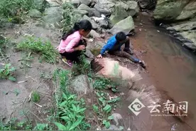 云南两少年返家途中摔下山崖 弟弟离世哥哥正在救治图片