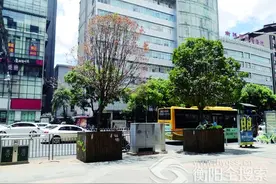 这棵风景树枯干好蹊跷？图片