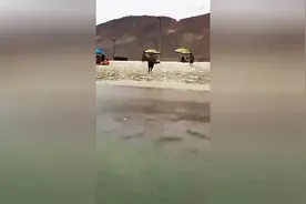 哥，你这跳水动作我给你打101分，结局太搞笑！图片