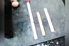 院子里经常进老鼠，他用木棍和石板做了个简易捕鼠器，效果真不错图片