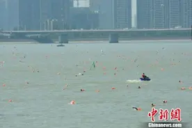 浙江千人横渡钱塘江 孙杨14岁小师弟获群众组“冠军”图片