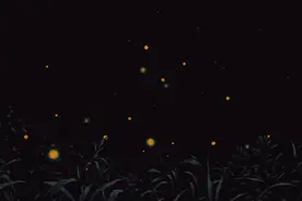 “小候鸟”！剩下的暑假余额怎么花？这些活动有趣还涨知识图片