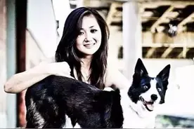 家庭伴侣犬的几个基础训练图片