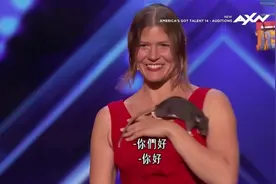 全美达人秀 老鼠也能训练表演活久见啊图片
