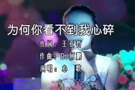心歌-《为何你看不到我心碎》DJ何鹏版，伤感情歌，图片