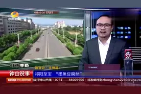 永州不光有鸭，祁阳至宝“墨鱼豆腐丝”，那也是一道美味！视频封面