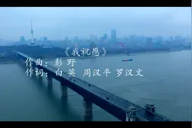 原创音乐MV，为抗疫助力丨 “武汉伢宅家战疫”短视频选登图片