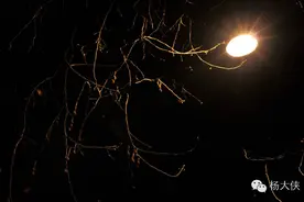 夜深沉| 回家（胆小慎入）图片