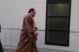 日本相扑的地位图片