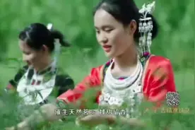海南五指山忧遁草登上央视扶贫公益广告图片