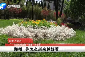 美美哒！这还是你印象中的郑州人民公园吗？图片