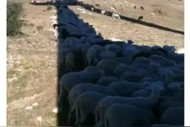 趣味｜体育课上的女生？这图也太生动形象了吧图片