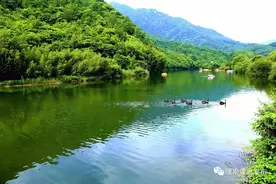 一个大学生眼里的康县：一草一木皆诗画，一山一水尽是情图片