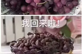 葡萄早上出门，晚上回来的是葡萄干，这是怎么回事？图片