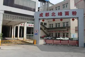 专注面粉15年，两番技改生产线 “西南面粉大王”田友林的匠心品质图片