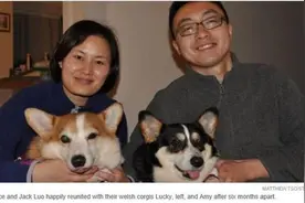 华人夫妇花费2万纽币 终于将爱犬“移民”新西兰图片