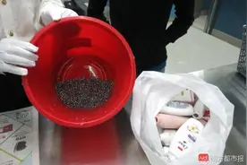 夜读丨旅客用沐浴露瓶装铅弹两千多粒丨老太骑车受惊倒地，三米外轿车却赔了300图片