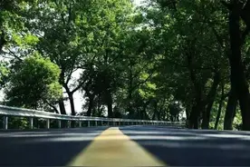 金山这条最美的环海公路，每站都有浪漫的惊喜……图片