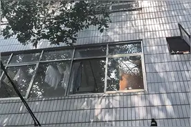 春晖小区树枝张牙舞爪伸进家 住户盼绿化部门修剪图片