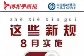 河北手机报精华版图片