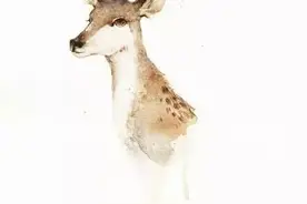 「阅读」你永远无法预知人生的下一个拐角处，等待你的将会是什么图片