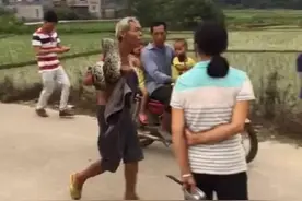 厉害了！博白一老汉，徒手生擒3米长的大蟒蛇！图片