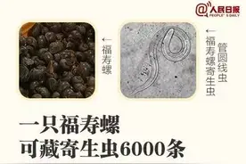 一只可能有6000条寄生虫，姑娘误食后染病被迫流产！最近多地小吃摊被爆卖福寿螺！杭州有没有？图片