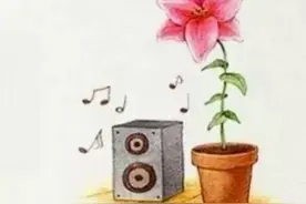 奇葩冷门小知识｜音乐伴奏下植物长更快图片
