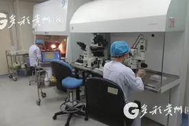 贵州省“最老”胚胎冷冻10年后复苏并成功着床图片