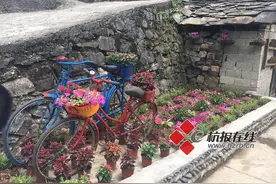 淳安屏门乡：村民自制“烟灰缸” 村庄环境大提升图片