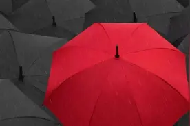 手机解决了一切跟孤独有关的事图片