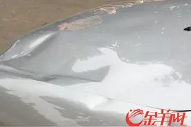 下雨天 马路上的行道树将小车砸了一个坑图片