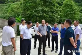 新闻｜市农委主任路伟调研中岗乡脱贫攻坚工作图片