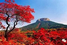 如果你爱山亭，那就给她投票吧~图片