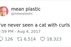 卷毛猫，吸过的都说好图片