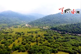 张家川秦家塬草原图片