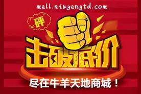 常用牛胴体及牛肉品质的等级划分标准图片